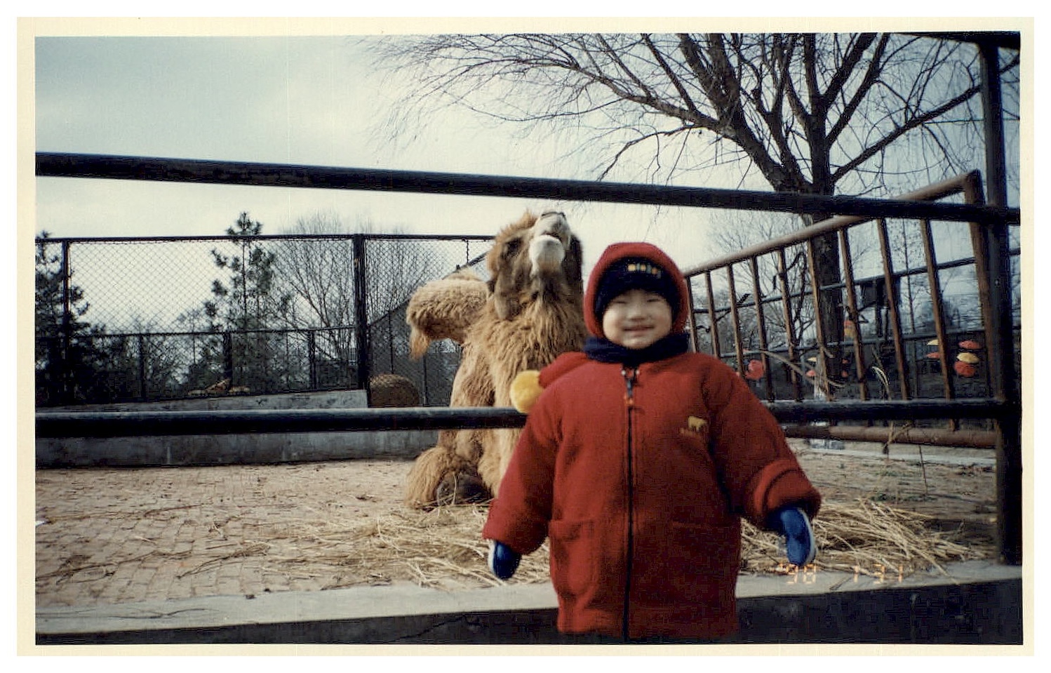19980131 04