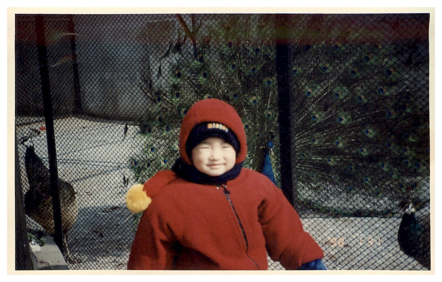 19980131 08