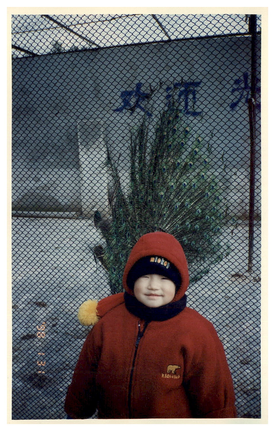 19980131 09