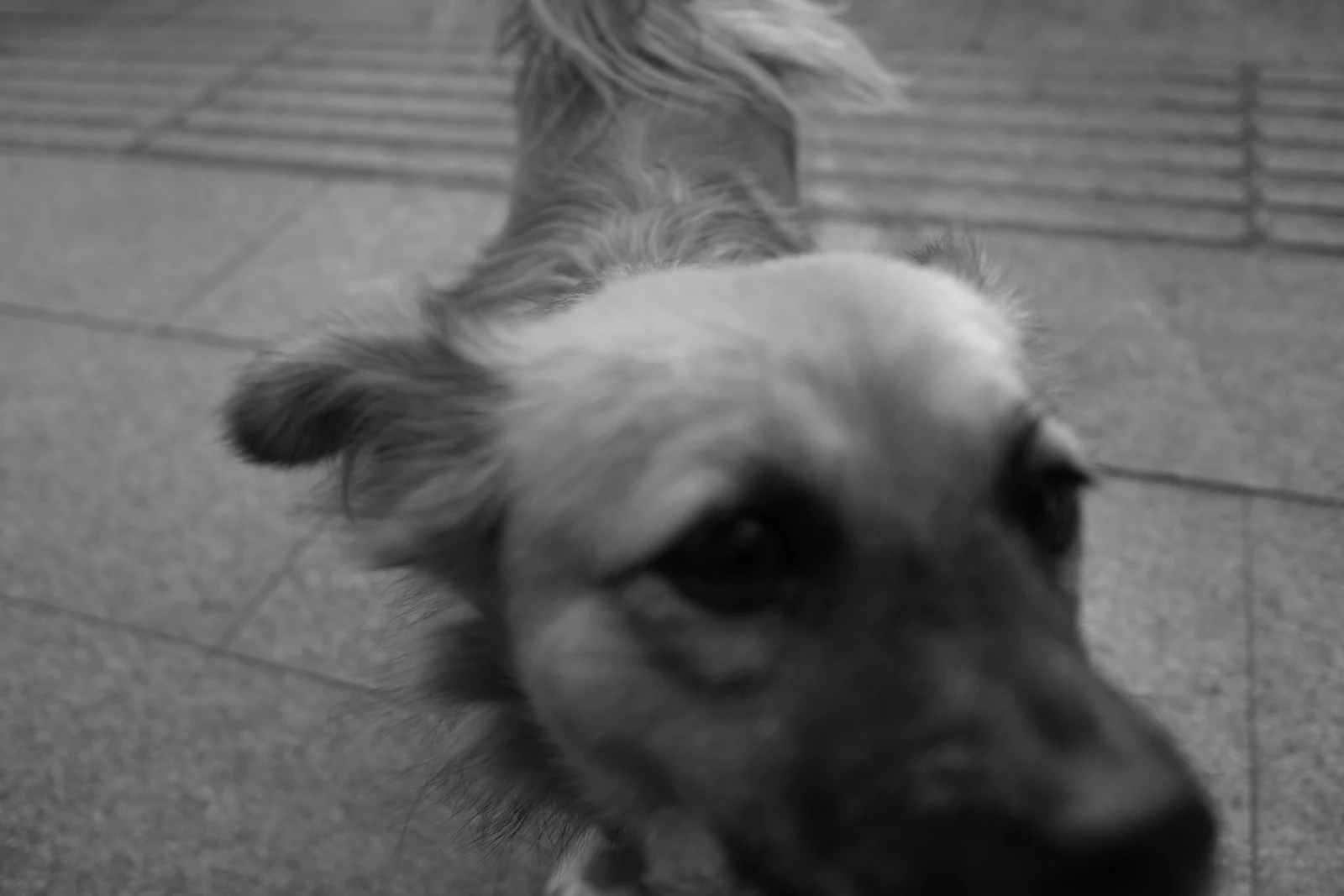 20211116creatures-2