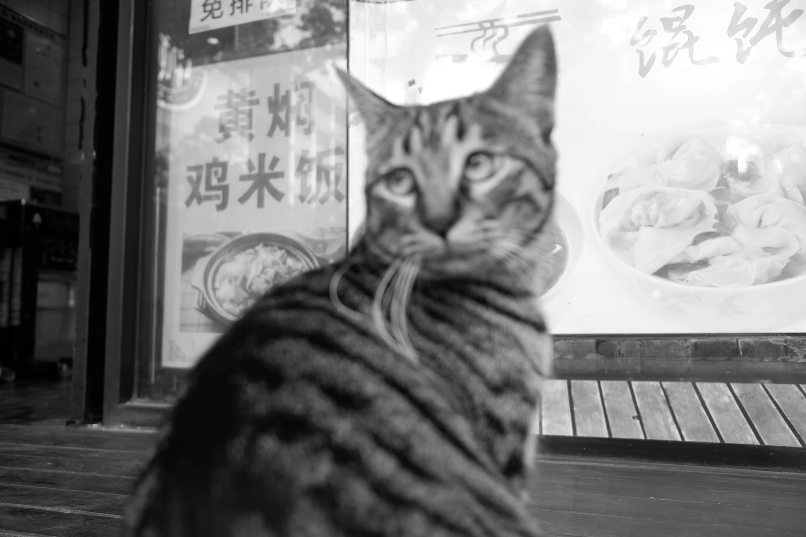 20211116creatures-5