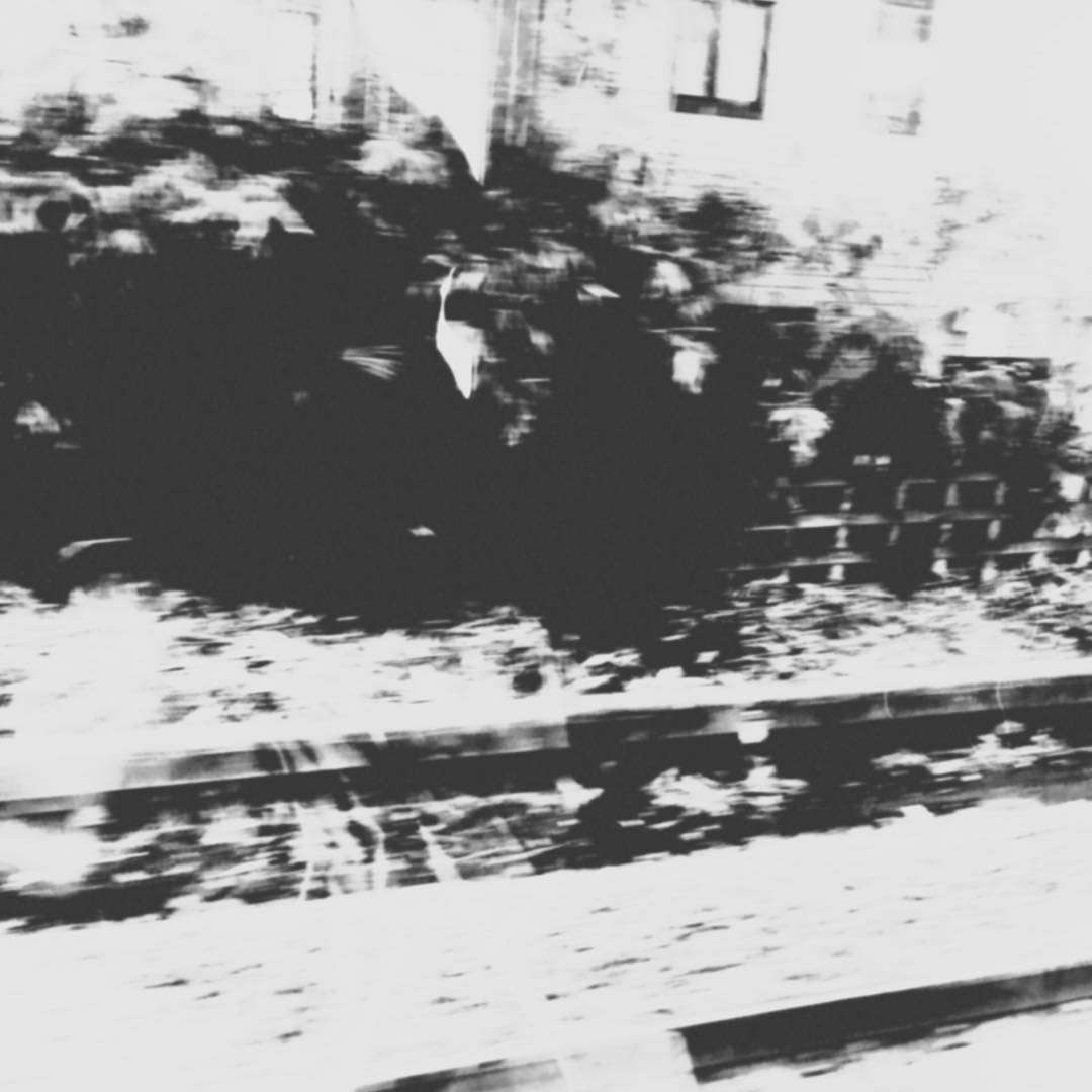Days Once Kept 24